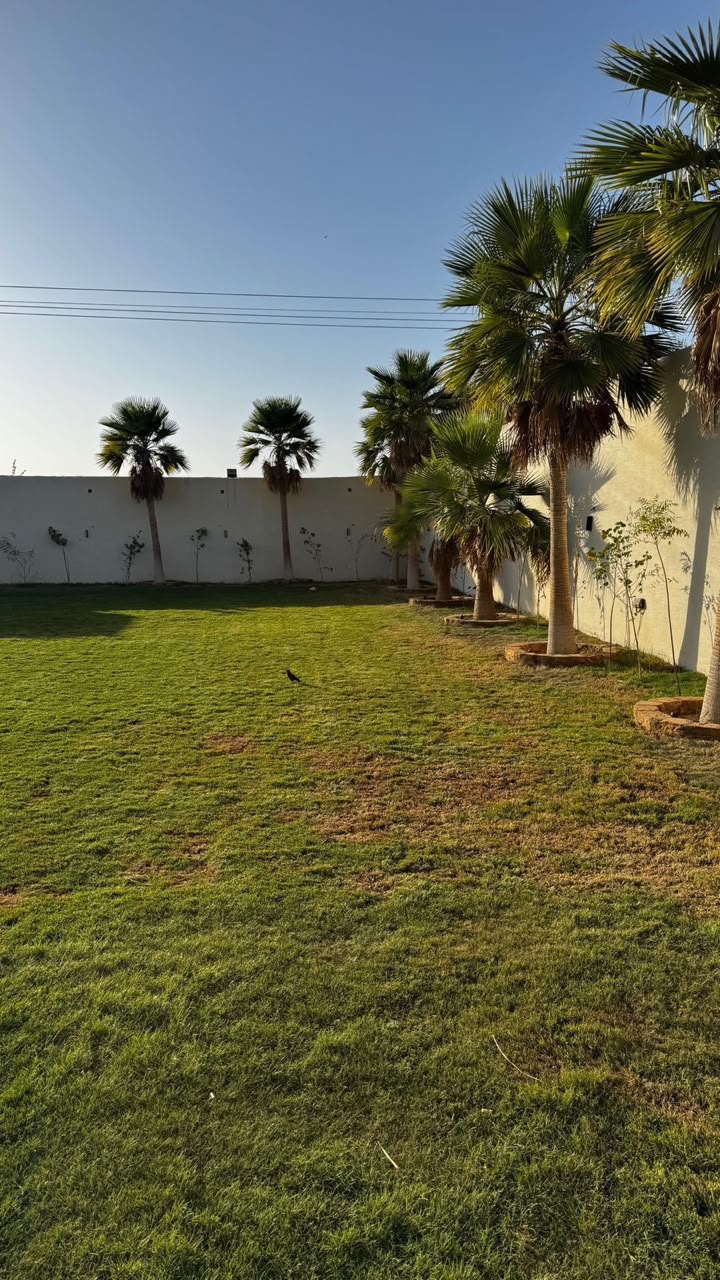 المسطحات الخضراء في منتجع مارڤي
